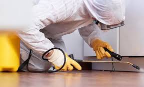 Best Fumigation Services  in South Palm Beach, FL